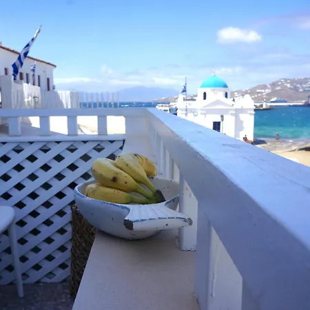 Elpis Mykonos - Delos Port *