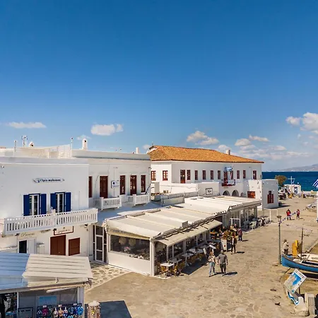 Elpis Mykonos - Delos Port *